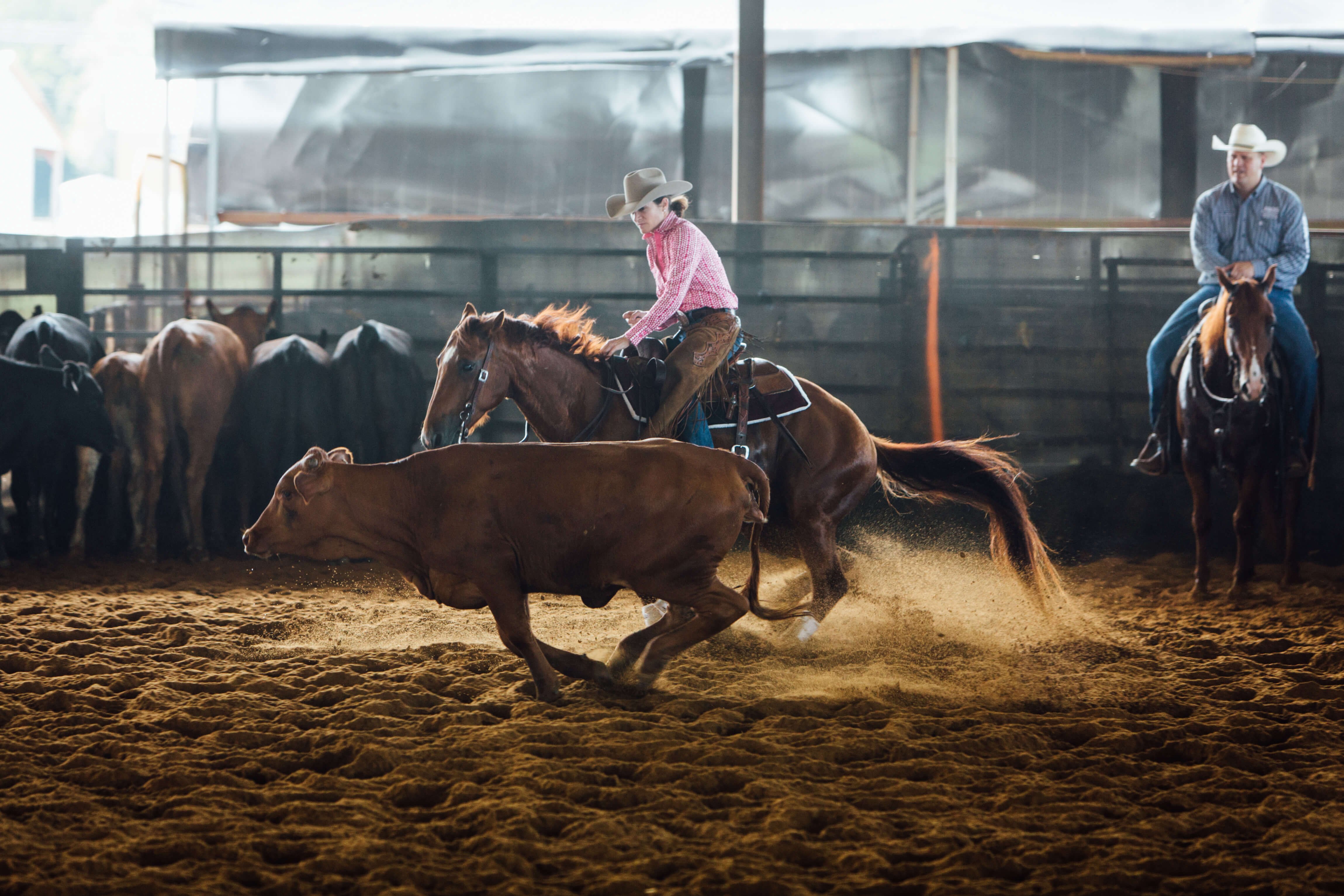 julie beasley at garrett coliseum cutting competition